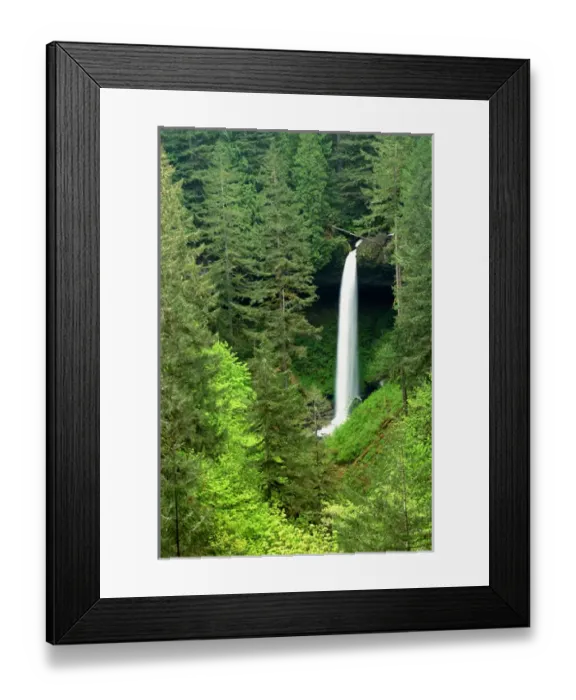 Framed Print : North America, USA, Oregon, Silver Falls State Park. North Silver Falls Framed Print : North America, USA, Oregon, Silver Falls State Park. North Silver Falls