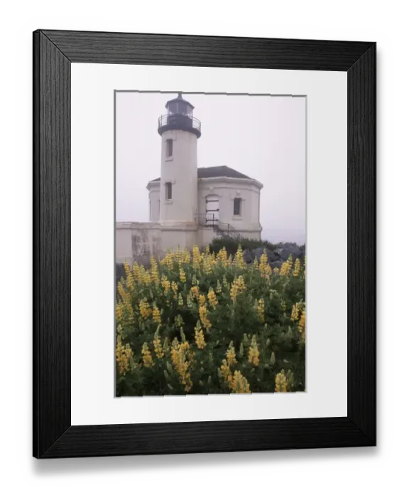 Framed Print : North America, USA, Oregon, near Bandon Coquille River Lighthouse along the Oregon Framed Print : North America, USA, Oregon, near Bandon Coquille River Lighthouse along the Oregon