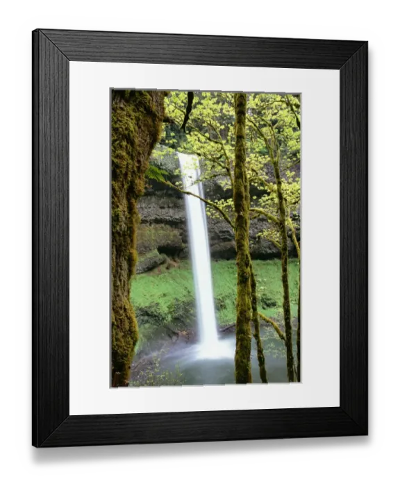 Framed Print : North America, USA, Oregon, Silver Falls State Park. South Silver Falls Framed Print : North America, USA, Oregon, Silver Falls State Park. South Silver Falls