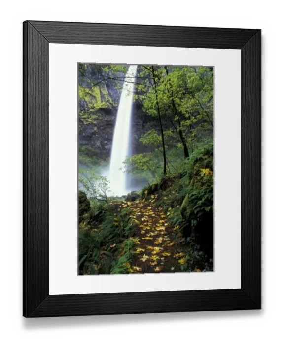 Framed Print : NA, USA, Oregon, Columbia Gorge Elowha Falls in autumn Framed Print : NA, USA, Oregon, Columbia Gorge Elowha Falls in autumn