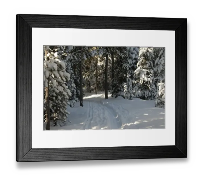 Framed Print : Cross-Country Ski Trail Through Woods, Bend, Oregon Framed Print : Cross-Country Ski Trail Through Woods, Bend, Oregon