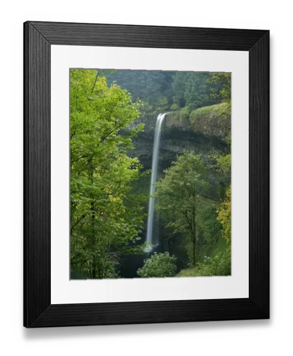 Framed Print : USA, Oregon, Silver Falls State Park, South Falls Framed Print : USA, Oregon, Silver Falls State Park, South Falls