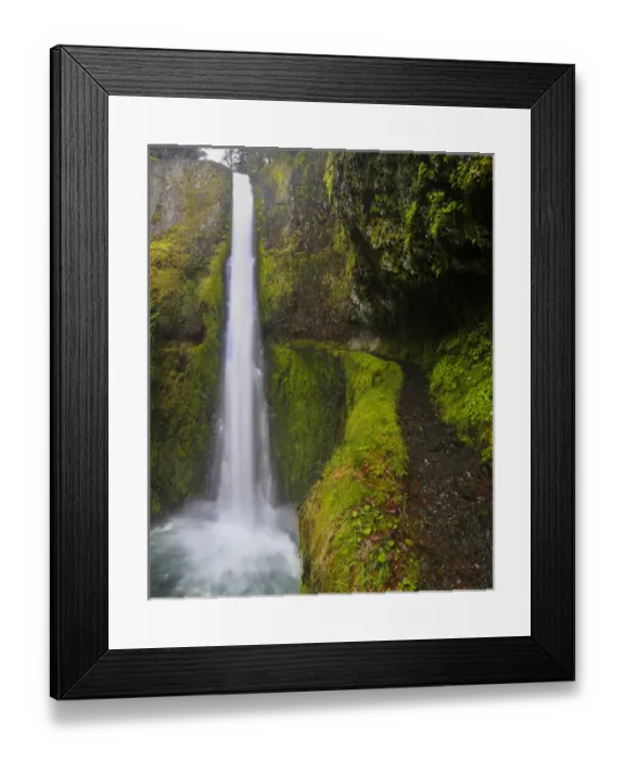 Framed Print : USA, Oregon. Top to bottom view of 130 ft Tunnel Falls on Eagle Creek, with trail