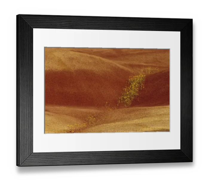 Framed Print : N. A. USA, Oregon, John Day Fossil Beds National Monument. Painted Hills with Chenactis Framed Print : N. A. USA, Oregon, John Day Fossil Beds National Monument. Painted Hills with Chenactis