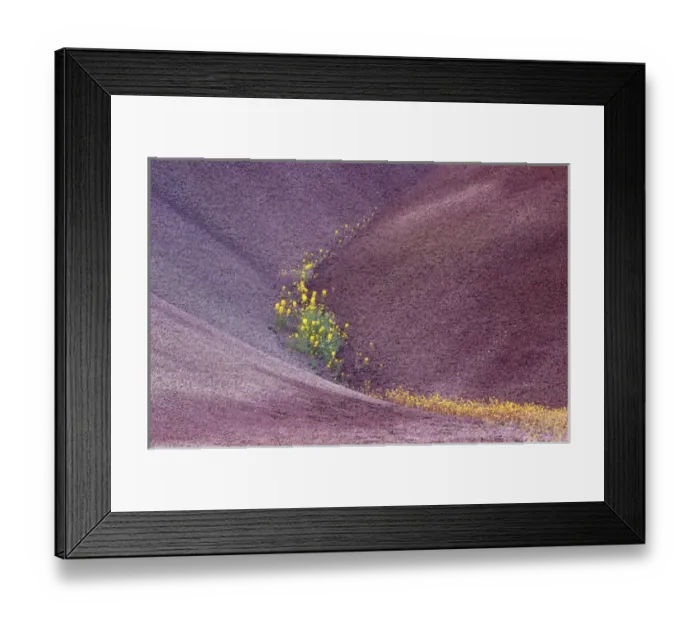 Framed Print : N. A. USA, Oregon, John Day Fossil Beds National Monument. Painted Hills with Chenactis