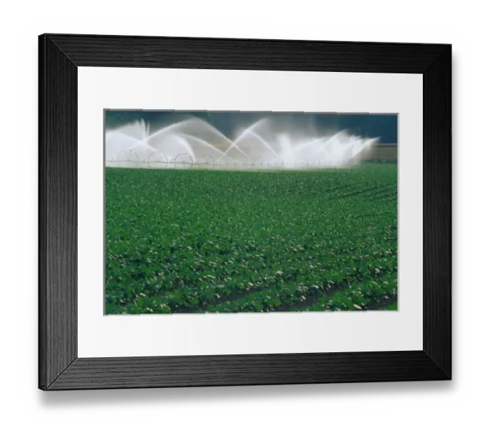 Framed Print : NA, USA, Oregon. Sprinkler system in crop Framed Print : NA, USA, Oregon. Sprinkler system in crop