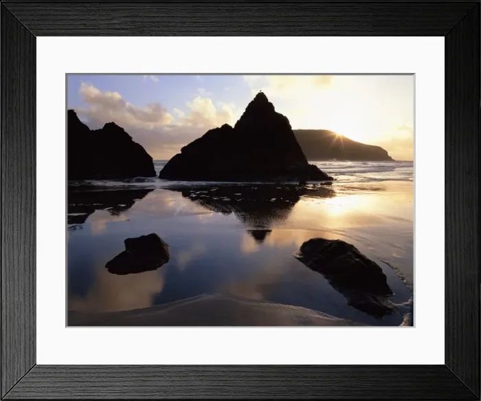 Framed Print : North America, U. S. A. Oregon, Harris Beach State Park, A lone bird perches on a Framed Print : North America, U. S. A. Oregon, Harris Beach State Park, A lone bird perches on a