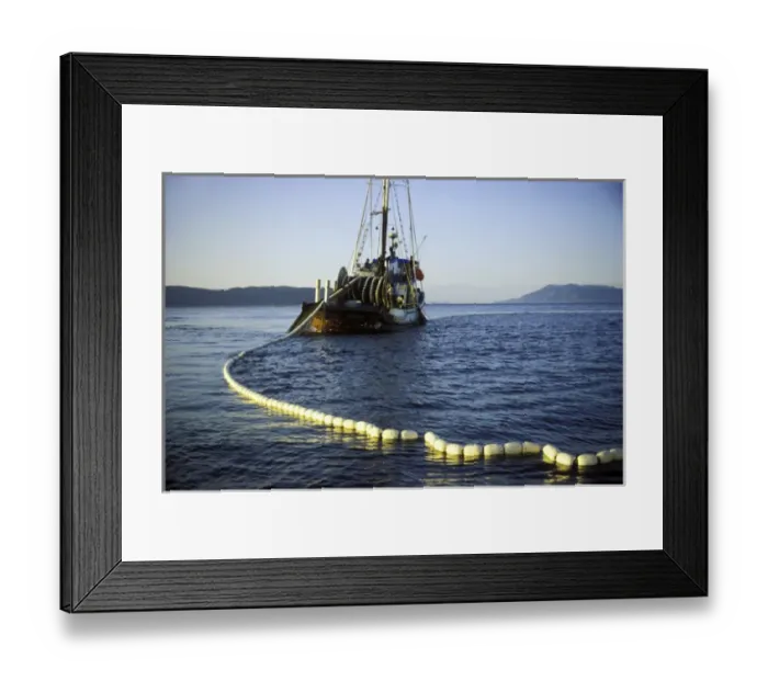 Framed Print : Purse Seining commercial fishing boat letting out the net in Pudget Sound, Washington Framed Print : Purse Seining commercial fishing boat letting out the net in Pudget Sound, Washington