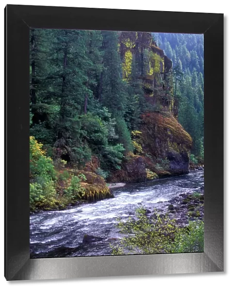 North fork Umpqua River, Oregon Cascades