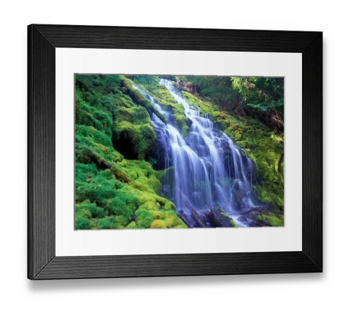 Framed Print : Proxy Falls over moss carpeted rocks in Oregons Central Cascade Mountains Framed Print : Proxy Falls over moss carpeted rocks in Oregons Central Cascade Mountains