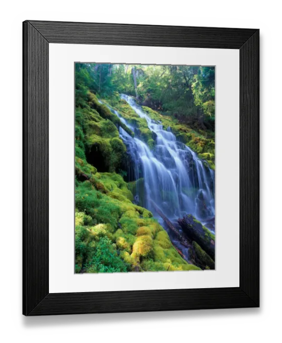 Framed Print : Sunlight filters onto Proxy Falls in the central Oregon Cascades