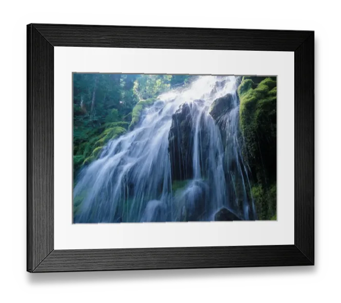 Framed Print : The sun breaks through the thick tree canopy around Proxy Falls in the Oregon Cascades Framed Print : The sun breaks through the thick tree canopy around Proxy Falls in the Oregon Cascades