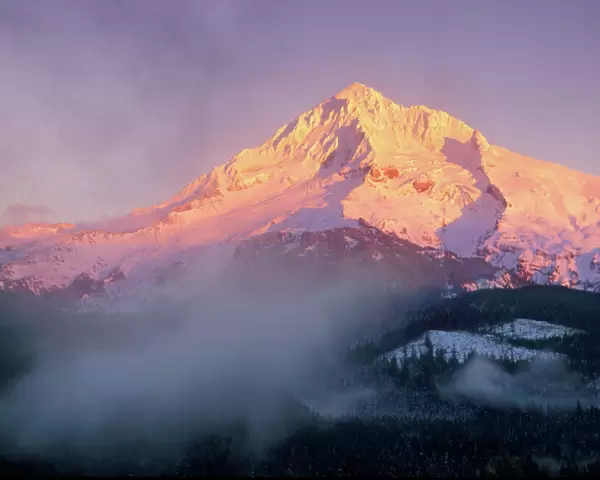 Sunset colors the slopes of Mt Hood, Oregon as clouds and fog sit in the valleys