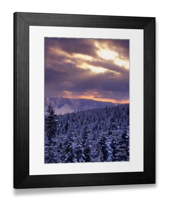 Framed Print : Sunrise over a snow covered forest in the Mt Hood National Forest, Oregon Cascades