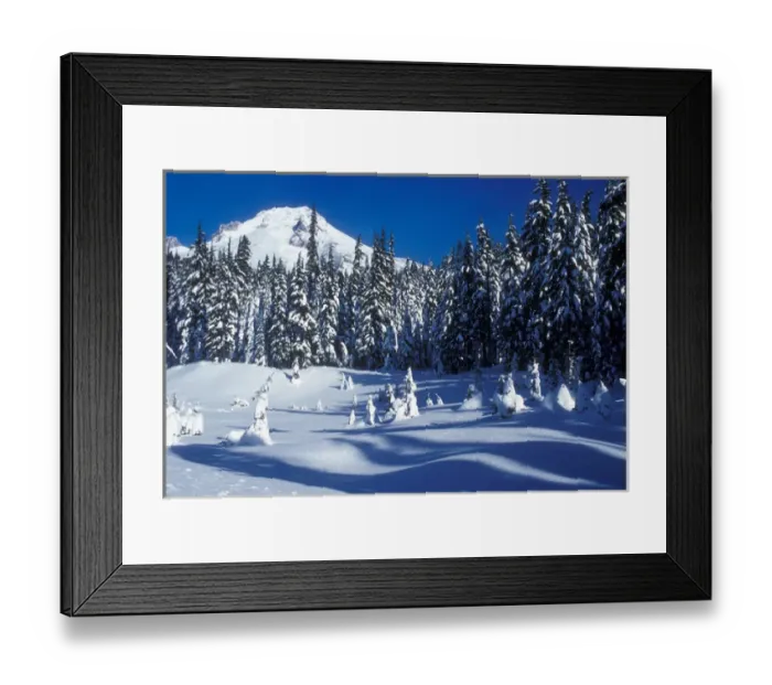 Framed Print : Snow covered trees and moguls at the foot of Mt. Hood, Oregon Cascades Framed Print : Snow covered trees and moguls at the foot of Mt. Hood, Oregon Cascades