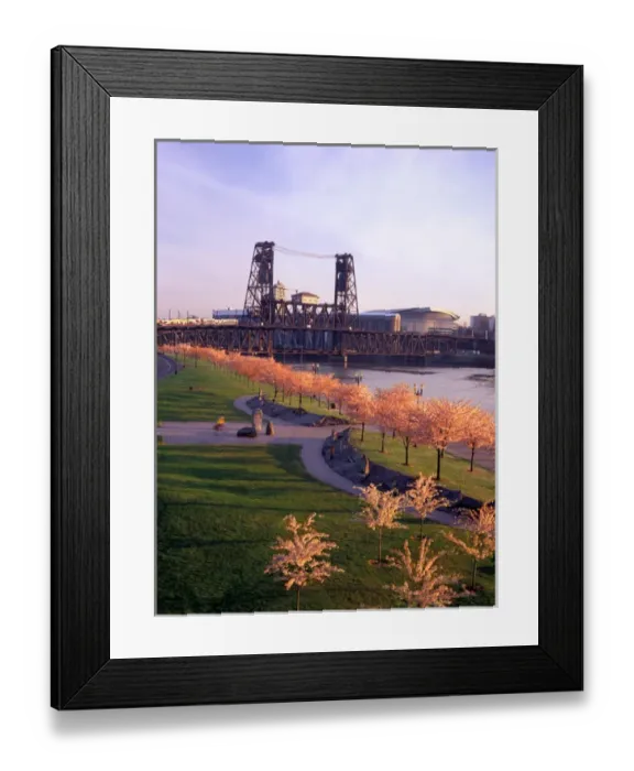 Framed Print : USA, Oregon, Portland, Paths of Tom McCall Waterfront Park, with the Steel Bridge