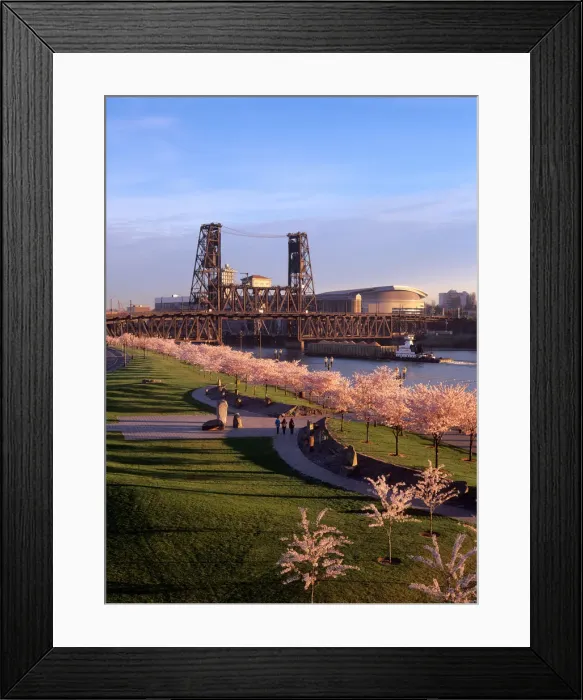 Framed Print : USA, Oregon, Portland, People enjoying a morning stroll in Tom McCall Waterfront Park Framed Print : USA, Oregon, Portland, People enjoying a morning stroll in Tom McCall Waterfront Park