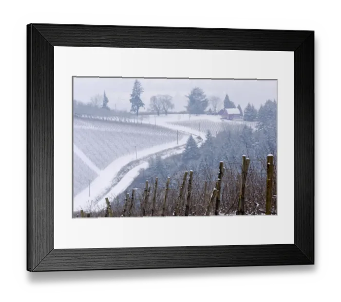 Framed Print : Snow covered view of the Red Hills from Knudsen vineyard looking towards Bella Vida vineyard Framed Print : Snow covered view of the Red Hills from Knudsen vineyard looking towards Bella Vida vineyard