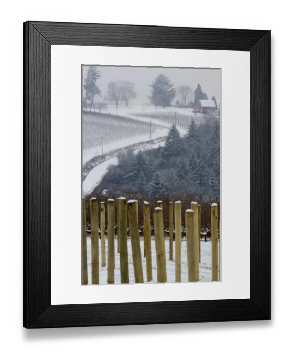 Framed Print : Snow covered view of the Red Hills from Knudsen vineyard looking towards Bella Vida vineyard