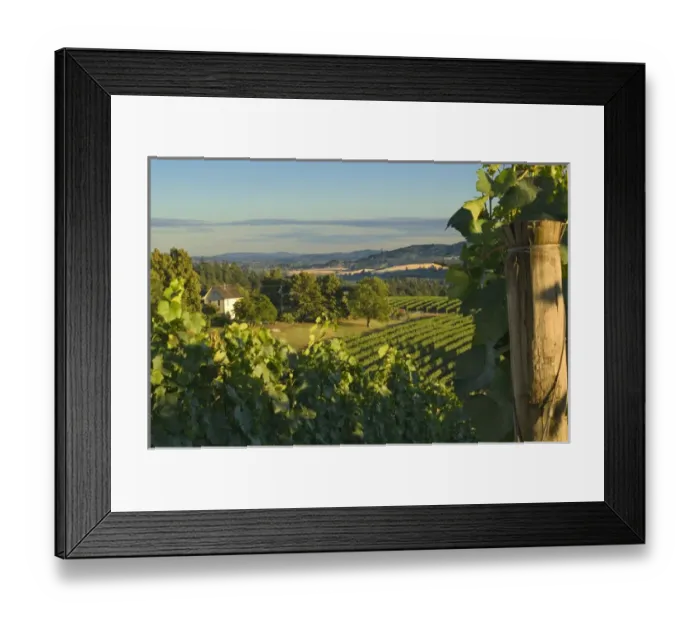 Framed Print : David Hill Vineyard & Winery in historic farmhouse built in 1883 near Forest Grove Framed Print : David Hill Vineyard & Winery in historic farmhouse built in 1883 near Forest Grove