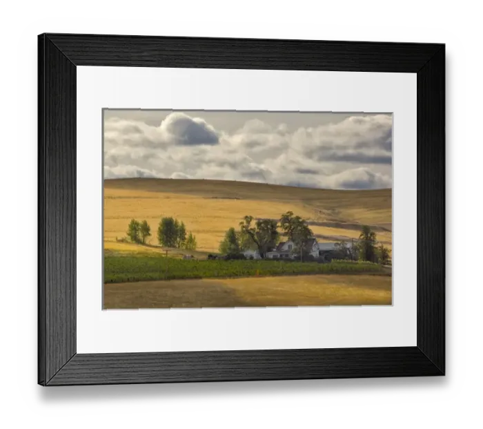 Framed Print : North America, USA, Oregon, Milton Freewater. Zerba vineyard on old Cockburn farm