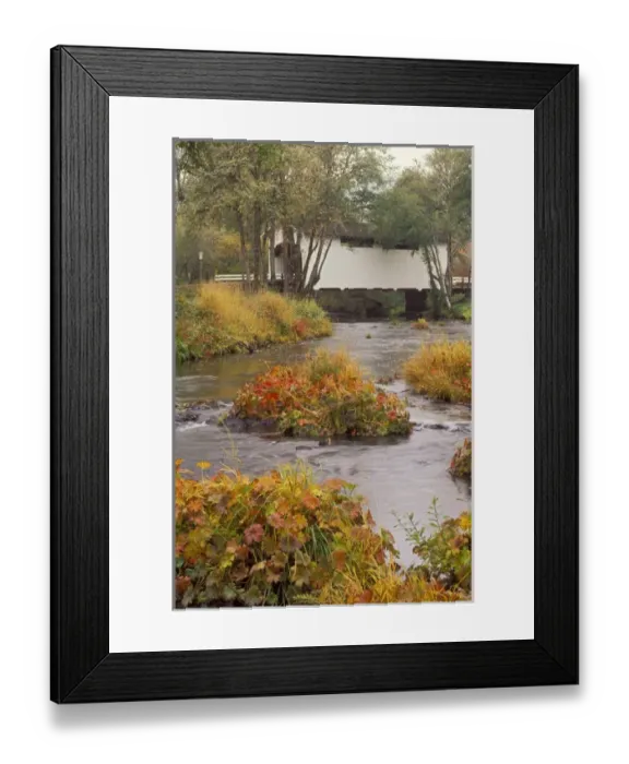 Framed Print : North America, United States, Oregon. Harris covered bridge in the fall, Benton county Framed Print : North America, United States, Oregon. Harris covered bridge in the fall, Benton county