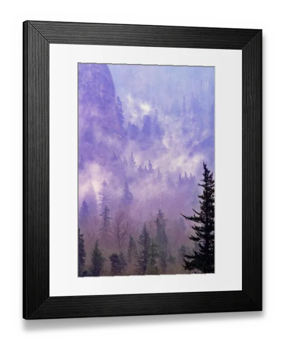 Framed Print : Fog nestled in the trees in the Columbia River Gorge after a storm. Oregon, USA Framed Print : Fog nestled in the trees in the Columbia River Gorge after a storm. Oregon, USA