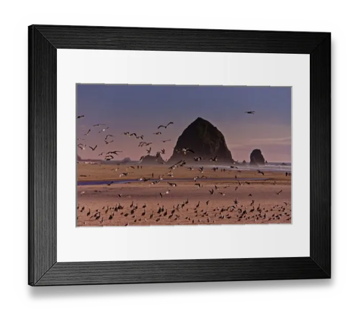 Framed Print : A scenic view of Hstack Rock at Cannon Beach i Oregon Framed Print : A scenic view of Hstack Rock at Cannon Beach i Oregon