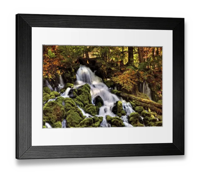 Framed Print : A fall foliage scene Clearwater Falls in Oregon
