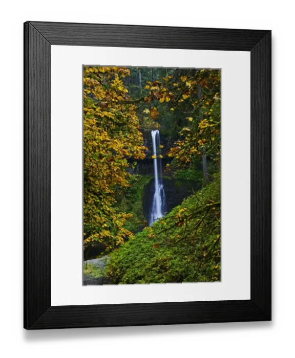 Framed Print : A fall veiw of Middle Falls at Silver Falls State Park Oregon