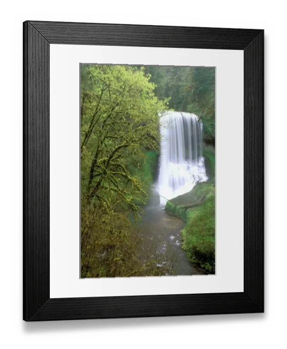 Framed Print : North America, USA, Oregon, Silver Falls State Park. Middle North Falls and North Framed Print : North America, USA, Oregon, Silver Falls State Park. Middle North Falls and North
