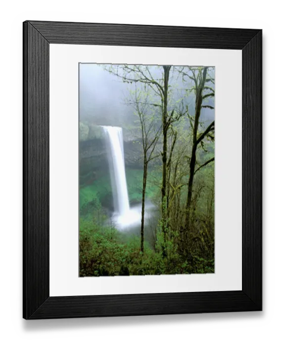 Framed Print : North America, USA, Oregon, Silver Falls State Park. South Falls drops 177 feet Framed Print : North America, USA, Oregon, Silver Falls State Park. South Falls drops 177 feet