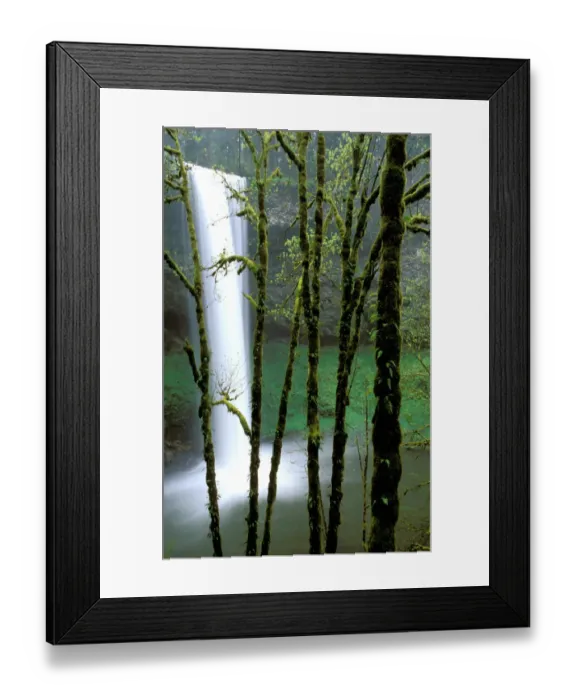 Framed Print : North America, USA, Oregon, Silver Falls State Park. South Falls drops 177 feet Framed Print : North America, USA, Oregon, Silver Falls State Park. South Falls drops 177 feet