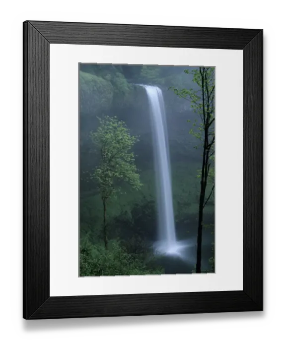 Framed Print : OR, Silver Falls SP, South Falls, 177 feet Framed Print : OR, Silver Falls SP, South Falls, 177 feet