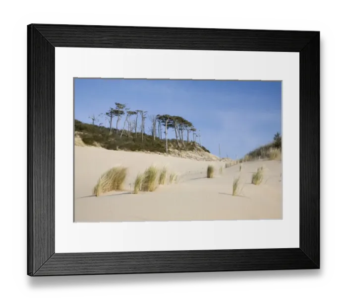 Framed Print : OR, Oregon Coast, Oregon Dunes National Recreation Area, Sand Dunes
