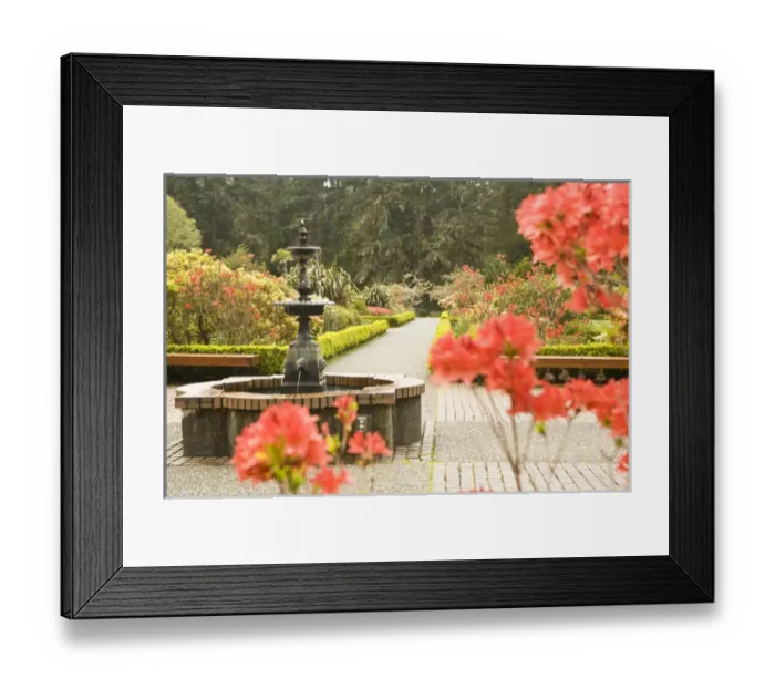 Framed Print : Shore Acres Botanical Gardens near Coos Bay Oregon