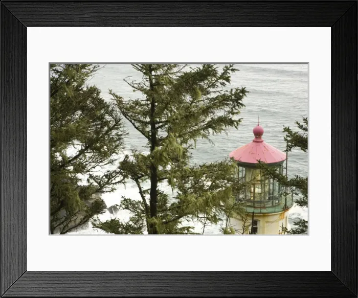 Framed Print : Trail behind Haceta Head Lighthouse - State Park. Near Florence, Oregon
