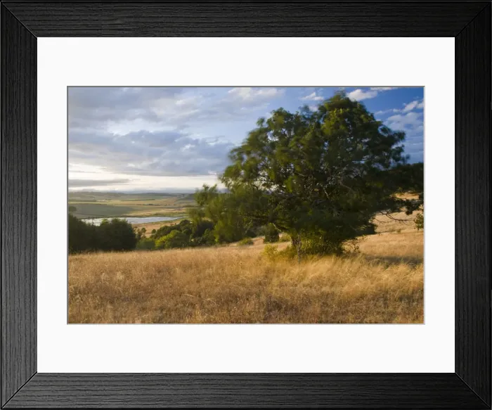Framed Print : Baskett Slough National Wildlife Refuge, Oregon, a scene from the Rich Guadagno Mermorial Framed Print : Baskett Slough National Wildlife Refuge, Oregon, a scene from the Rich Guadagno Mermorial