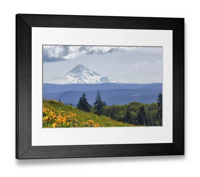 Framed Print : USA, Oregon, Columbia Gorge, Tom McCall Nature Preserve, Mt. Hood from McCall Point Framed Print : USA, Oregon, Columbia Gorge, Tom McCall Nature Preserve, Mt. Hood from McCall Point