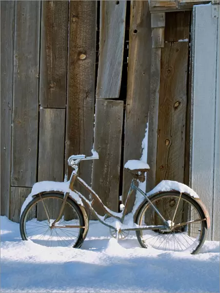 USA, Oregon, Bend. An old bicycle sits covered in snow near a barn in Bend, Oregon