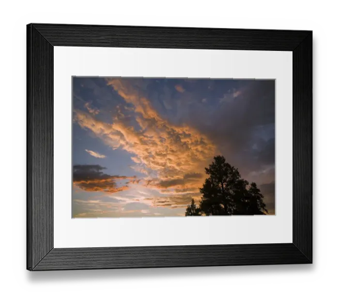 Framed Print : USA, Oregon, Bend. Ponderosa pines are silhouetted by the sunset light in Deschutes Co Framed Print : USA, Oregon, Bend. Ponderosa pines are silhouetted by the sunset light in Deschutes Co