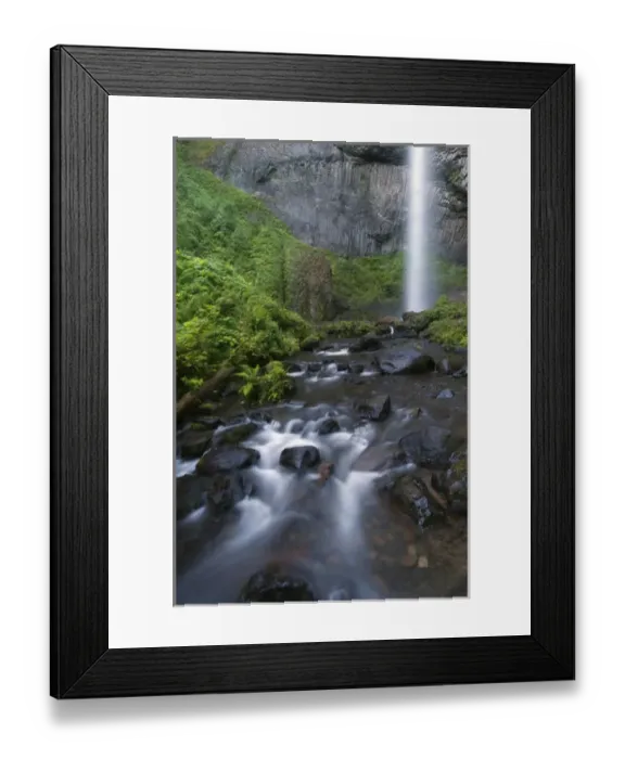 Framed Print : Latourell Falls, Columbia River Gorge, Oregon, USA Framed Print : Latourell Falls, Columbia River Gorge, Oregon, USA