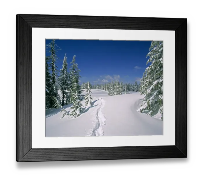 Framed Print : USA, Oregon, Crater Lake NP. Deep snow makes travel difficult on a path among these