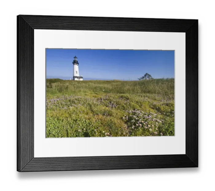 Framed Print : USA, OR, Newport, Yaquina Head Lighthouse