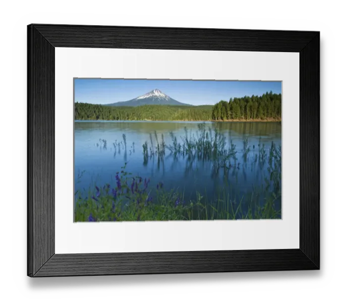 Framed Print : USA, OR, Mt. McLoughlin from Willow Lake