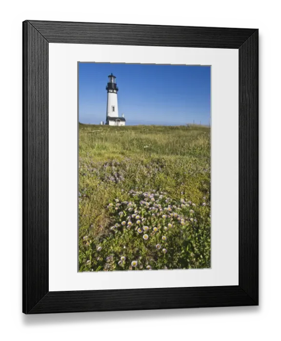 Framed Print : USA, OR, Newport, Yaquina Head Lighthouse Framed Print : USA, OR, Newport, Yaquina Head Lighthouse