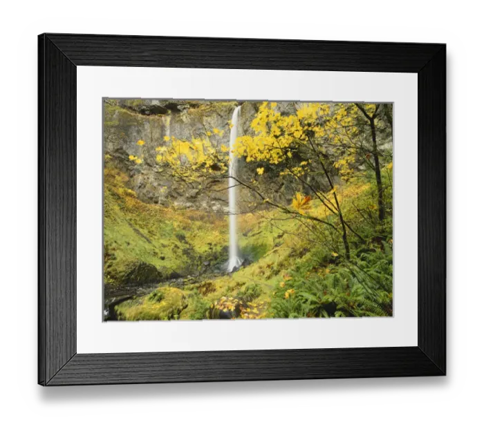 Framed Print : Oregon, Columbia Gorge National Scenic Area, Elowah falls in autumn Framed Print : Oregon, Columbia Gorge National Scenic Area, Elowah falls in autumn