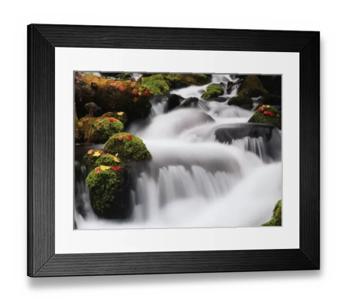 Framed Print : USA, Oregon, View of waterfall with autumn maple leave at Mt hood National forest Framed Print : USA, Oregon, View of waterfall with autumn maple leave at Mt hood National forest