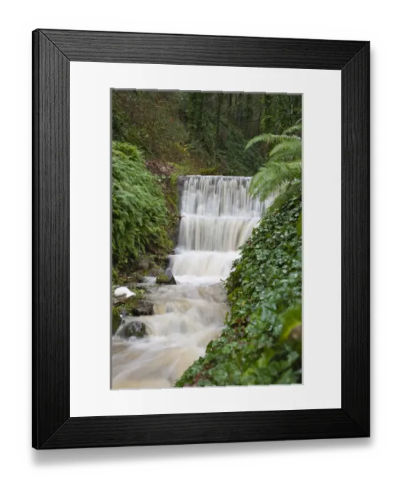 Framed Print : Seasonal creek on outskirts of Portland, Oregon, USA Framed Print : Seasonal creek on outskirts of Portland, Oregon, USA