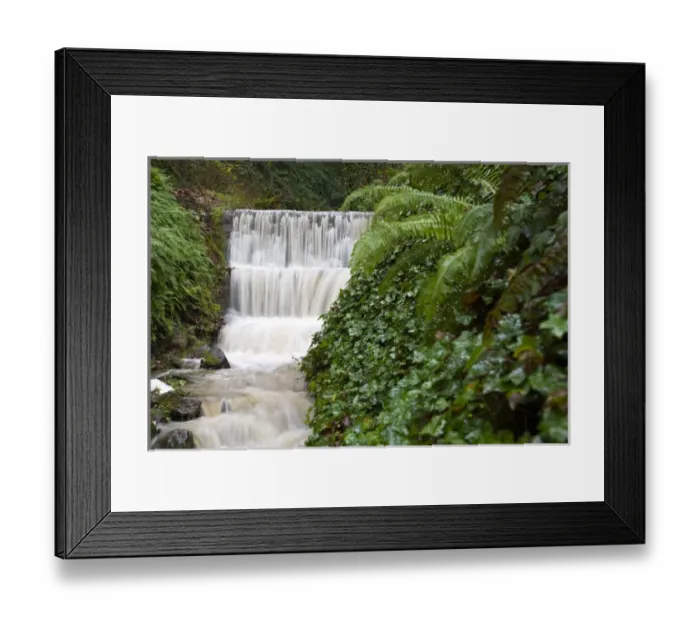 Framed Print : USA, Oregon, Portland. Seasonal creek on outskirts of Portland